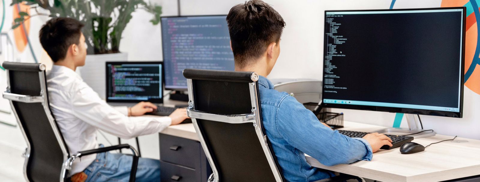 software-1
